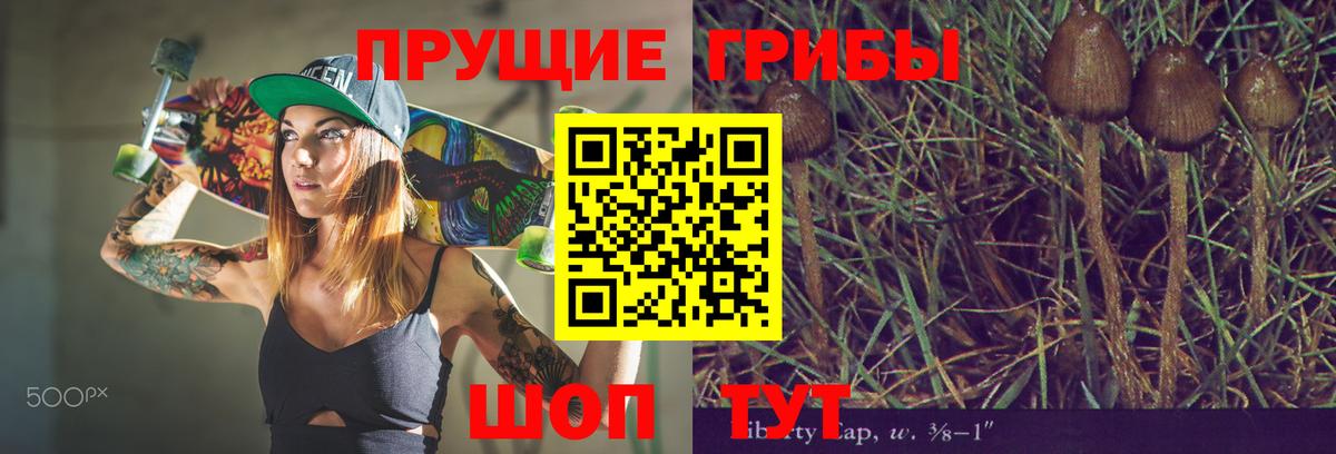 МЕФ Кудрово