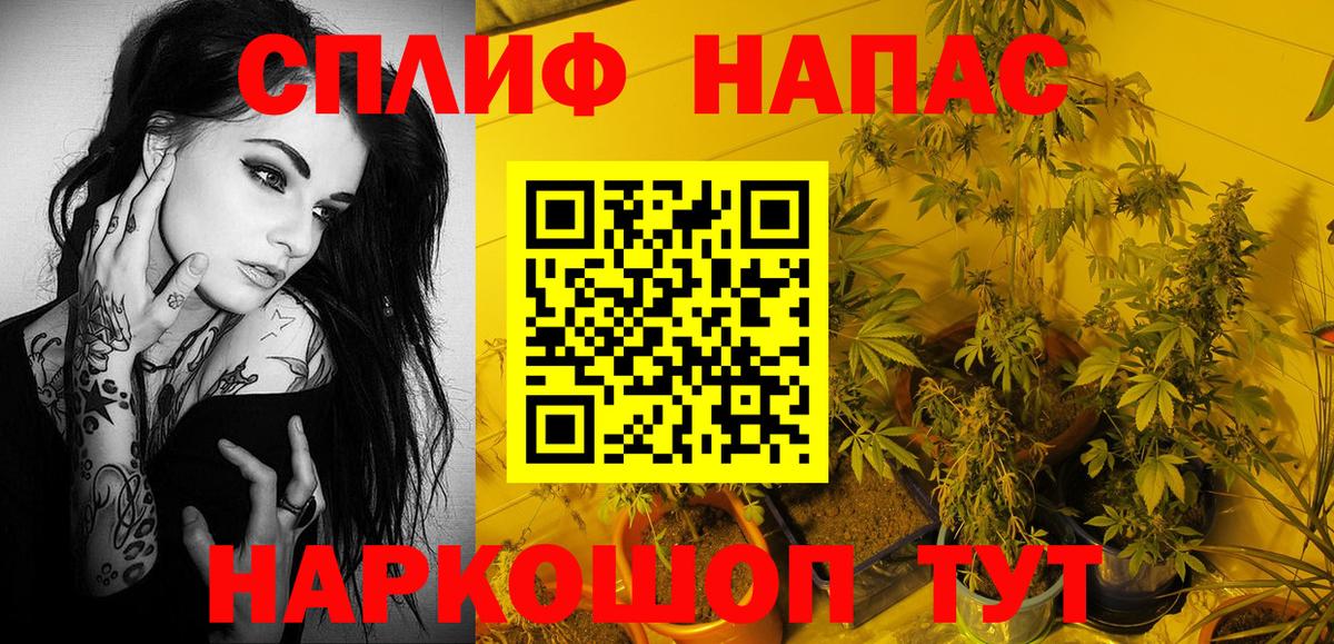 Бошки Шишки Amnesia Кудрово